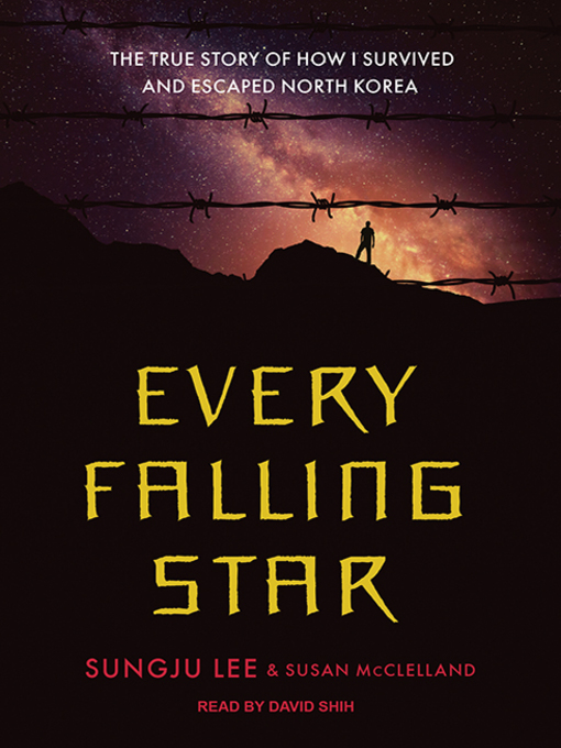 Sungju Lee创作的Every Falling Star作品的详细信息 - 可供借阅
